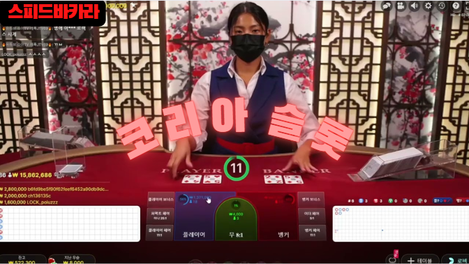 스피드바카라
